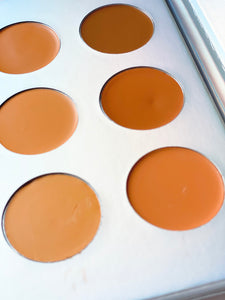 Conceal & Contour Palette