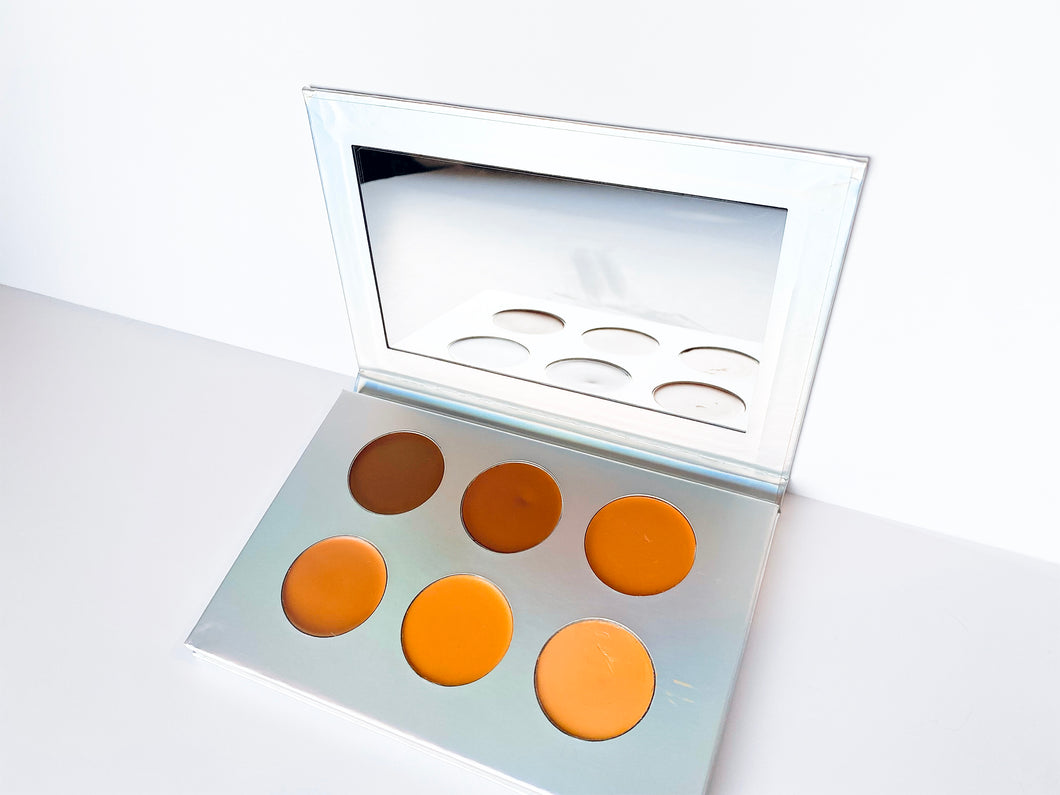 Conceal & Contour Palette